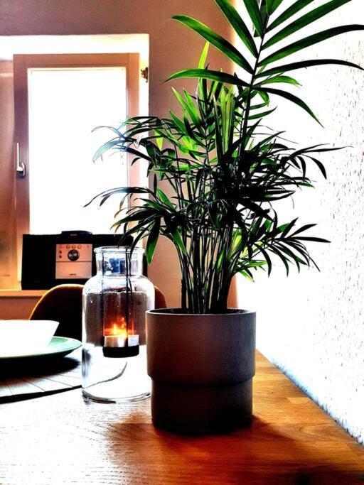 Rostock Hautnah Erleben - Schoene Maisonette 2Og Ngoại thất bức ảnh